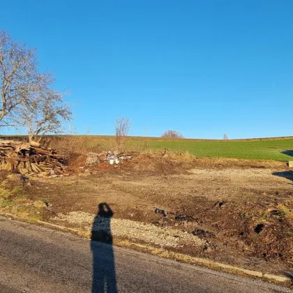 Grundstück in sonniger Lage zu verkaufen ! - Bild 2