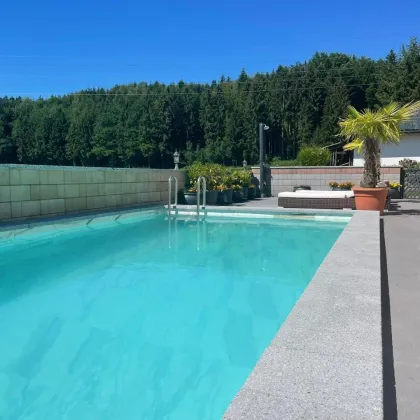 Traumhafte EG-Wohnung mit Pool und Teich - Bild 3