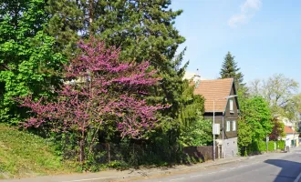 Baugrund mit Altbestand in Hietzing Nähe St. Josef Krankenhaus