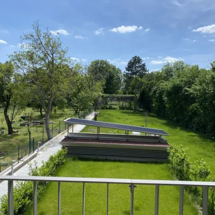 TRAUMHAFTE 4-ZIMMER-WOHNUNG MIT BALKON UND EINEM EIGENEN GARTEN - RUHIG GELEGEN - Bild 3