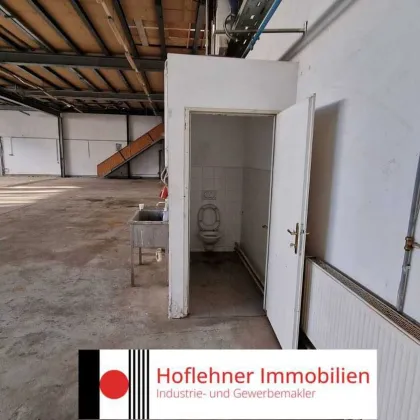 1140 Wien, ebenerdige Lagerhalle mit 674m2 Fläche - Bild 3