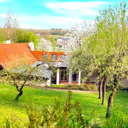 Neuwertiges Haus mit Garage auf 900qm Grundstück, Schöner Garten & Hausbrunnen - Bild 2