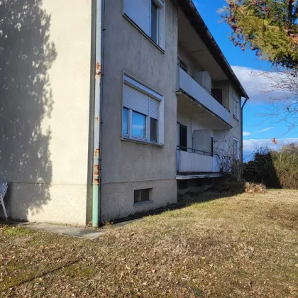 Zollhaus in Mörbisch mit großen Potenzial - Bild 2