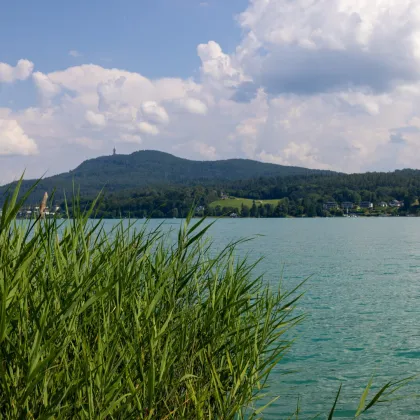 NATURE-HIDEAWAY am WÖRTHERSEE | 520m2 Bauland mit eigenem Steg, Bootsanleger, FREIZEITWOHNSITZ - Bild 3