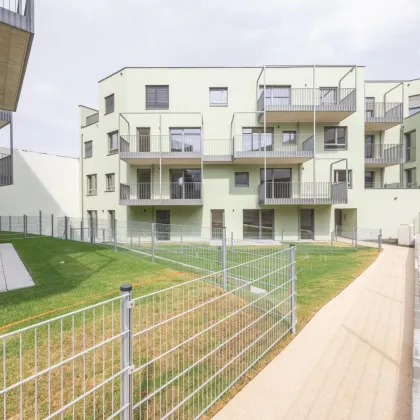 Erstbezug! Lichtdurchflutete Wohnung mit 4 Zimmer und geräumiger Balkon zu vermiten! - Bild 2