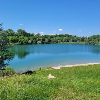 **Wohnen wo andere Urlaub machen**- 2 min. fußläufig zum Badeteich Süssenbrunn - Bild 2