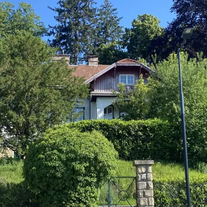 Charmante Jahrhundertwende-Villa auf Südhang im Pressbaumer Zentrum - TEILSANIERT! - Bild 2