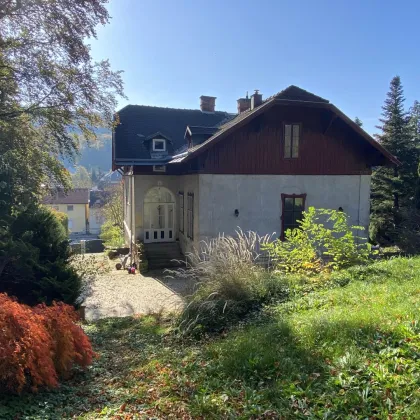 Charmante Jahrhundertwende-Villa auf Südhang im Pressbaumer Zentrum - TEILSANIERT! - Bild 3