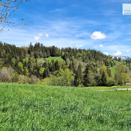 Baugrund in atemberaubender Aussichtslage - Bild 3