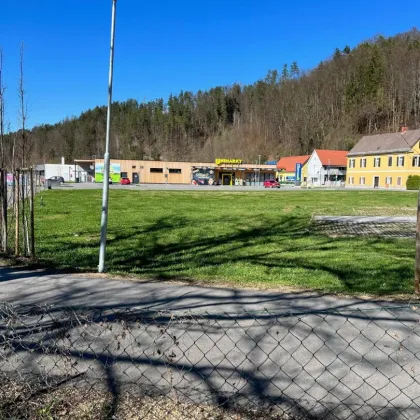 PREISRDUKTION! GELEGENHEIT! Grundstück mit sanierungsbedürftigem Altbau für Abriss und Neubau - Ein Traum für Bauträger! - Bild 3