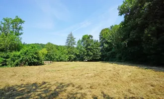 Ebenes Baugrundstück in sonniger Ruhelage -       nur 2 km vom Pressbaumer Zentrum