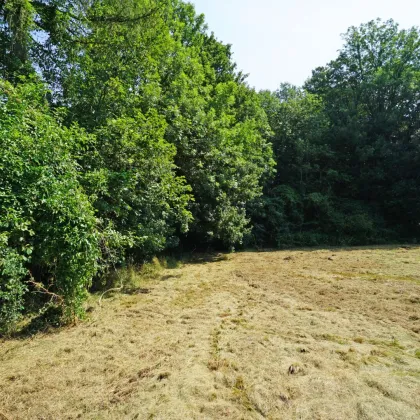 Ebenes Baugrundstück in sonniger Ruhelage -       nur 2 km vom Pressbaumer Zentrum - Bild 3