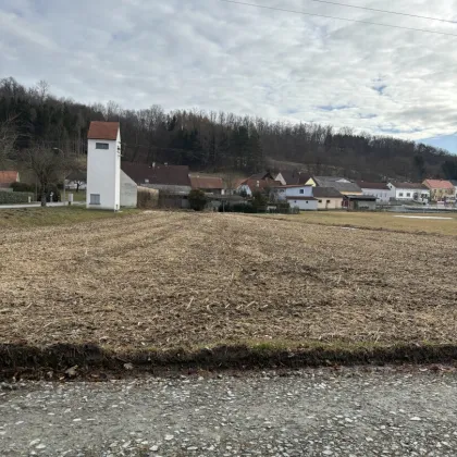 Sonniger Baugrund mit angrenzender Freifläche in ruhiger Lage - Bild 3