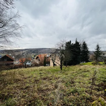 Verwirklichen Sie Ihr Traumhaus - Einfamilienhaus in Massivbauweise in idyllischer Ruhelage am Waldrand - Bild 2