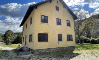 Wohnhaus - Bürogebäude oder Firmenzentrale - ein Haus mit vielen Möglichkeiten