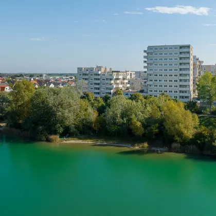 Leo am Teich - jetzt mieten, später kaufen - Bild 3