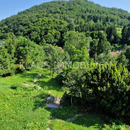 Wachau: großes Grundstück und Bachlauf + Haus mit herrlichem Ausblick, Herbstaktion - mit Sonderpreis!!! - Bild 2