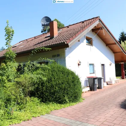 Eine "Wohlfüh-Oase" als Traumhaus im sonnigen Südburgenland - Bild 2