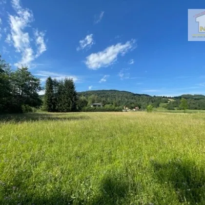 Schöne landwirtschaftliche Flächen mit 3.208m² - Nähe Hafnersee - Kein Baugrund! - Bild 2