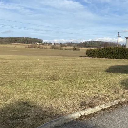 SEHR SCHÖNES SONNIGES BAUGRUNDSTÜCK IN RANDLAGE ZU GALLNEUKIRCHEN - SIMLING - Bild 2