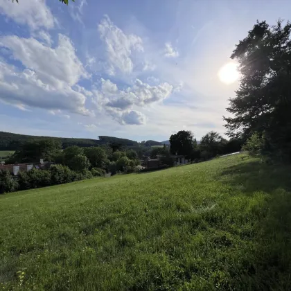 Naturliebhaber aufgepasst! Baugrundstück am Waldesrand - Bild 2