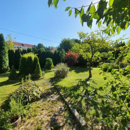 Großzügige Wohnung mit 510m² Garten, Balkonen und Carport nahe St. Pölten - Westbahnanbindung - Bild 3