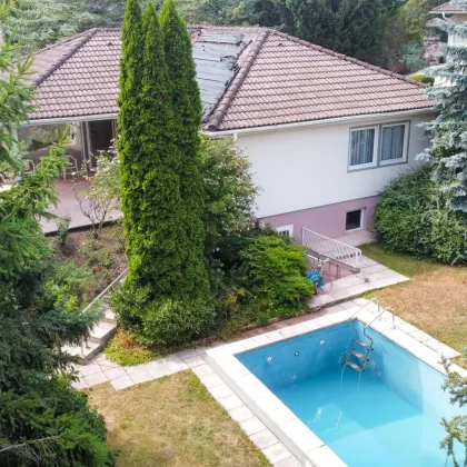 Bungalow mit Pool auf 1000m² großem Grundstück in der idyllischen Hinterbrühl - Bild 2