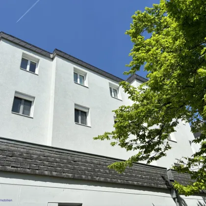 SCHULTZ IMMOBILIEN - Gut angeordnete Wohnung mit Loggia und Anningerblick! Neuer Preis! - Bild 2