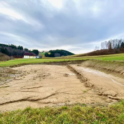 Besonderes Baugrundstück in Uttissenbach bei Zwettl - 4.519 ² Grundstücksfläche im Grünen - Bild 3