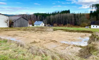 Besonderes Baugrundstück in Uttissenbach bei Zwettl - 4.519 ² Grundstücksfläche im Grünen