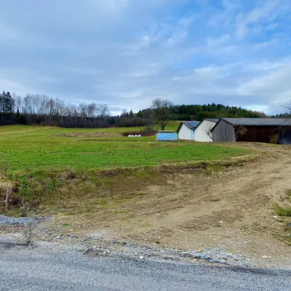 Besonderes Baugrundstück in Uttissenbach bei Zwettl - 4.519 ² Grundstücksfläche im Grünen - Bild 2