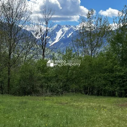 Traumhaftes Baugrundstück in Kärnten (1026m²) mit unverbaubaren Fernblick in Südlage - Perfekt für Ihr Eigenheim - Bild 3