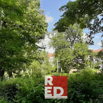 tolles Apartment -Blick auf den Park Heizung/Warmwasser/Garagenplatz inkludiert - Bild 3