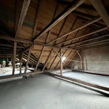 Charmantes Winzerhaus mit geschichtsträchtigem Weinkeller und Rohdachboden - Gumpoldskirchen - Bild 2