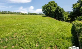 Aus 1 mach 2: teilbares Baugrundstück in sonniger Naturlage, Salzburg - Itzling