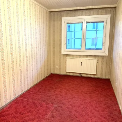 ++3-ZIMMER++NEUBAU++1230 WIEN++SCHNELL ZUGREIFEN++ - Bild 2