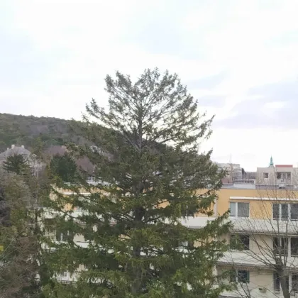 Dachgeschosswohnung mit Terrasse in zentraler Lage in Baden - Bild 2