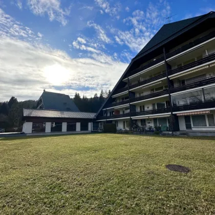 Retro Charme trifft grünes Glück: Charmante Wohnung mit Waldblick in Gresten - Bild 3