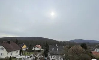 Luxuriöses Einfamilienhaus. Grenze Neustift am Walde 19. Bezirk