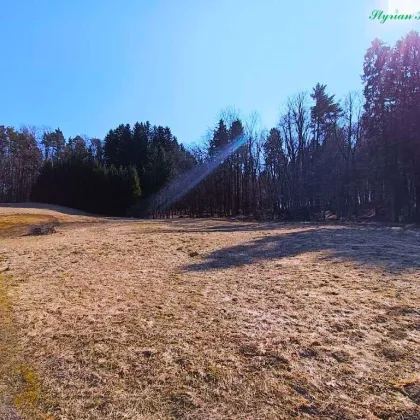 Grundstück 1104 m² in Traumlage mit Blick zum SCHÖCKL in 8071 Hausmannstätten - Bild 3