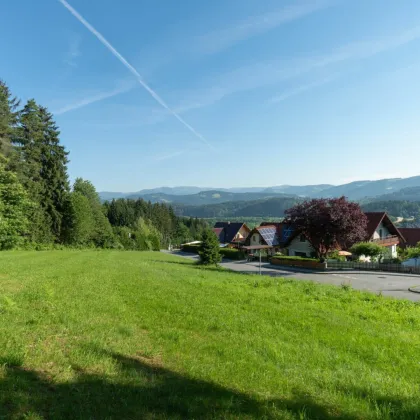 Jetzt pachten, später kaufen: Toller Baugrund am Waldesrand mit Weitblick - Bild 2