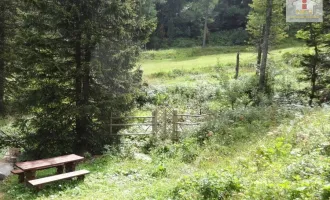 Turracher Höhe- Natur Pur genießen - Almhütte/Berghütte - Skifahren - Wandern in absoluter Traumlage