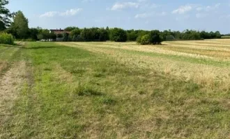 Sonniges großes Grundstück an der Grenze zu Österreich mit Baugenehmigung / Teilbar. Auch als Geldanlage geeignet. Provisionsfrei.