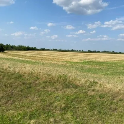 Sonniges großes Grundstück an der Grenze zu Österreich mit Baugenehmigung / Teilbar. Auch als Geldanlage geeignet. Provisionsfrei. - Bild 2