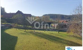 Einziehen und wohlfühlen! Top gepflegtes Mehrfamilienhaus in sonniger Aussichtslage