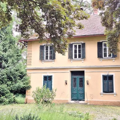 K3! HISTORISCHE VILLA in Velden am Wörthersee, Seenähe, mit parkähnlichem Grundstück, wartet auf Revitalisierung - Bild 2