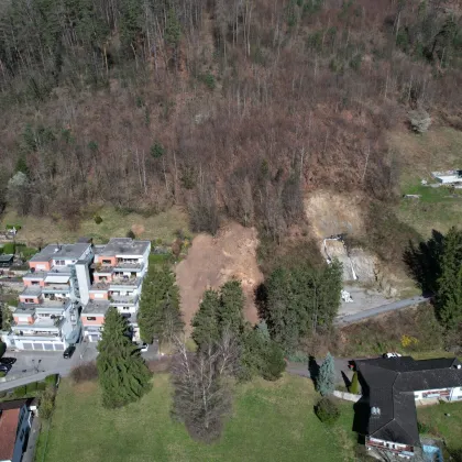 Grundstück in Hanglage mit idyllischem Ausblick und Wald in Klaus - Bild 3