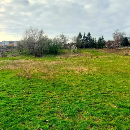 Blick über die Flußlandschaft, 3663m² Gesamtfläche, ca.1200m² reiner Baugrund - Bild 2