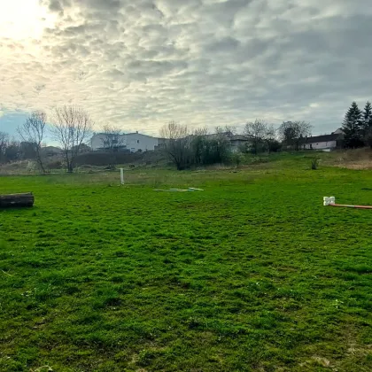 3663m² ca.1200m² reiner Baugrund mit Blick und Zugang zur Leitha - Bild 3