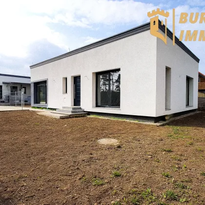 ERSTBEZUG |  Moderne Bungalow-Oase mit Garten und 2 Stellplätzen in Gänserndorf! - Bild 2